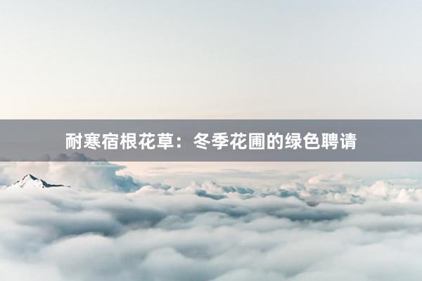耐寒宿根花草：冬季花圃的绿色聘请