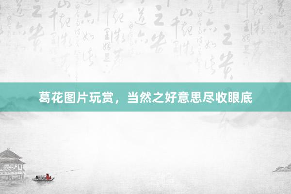 葛花图片玩赏，当然之好意思尽收眼底
